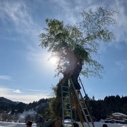 さいの神