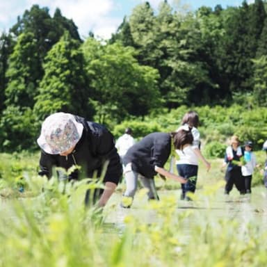 お米をつくる。“生きる”をつくる。