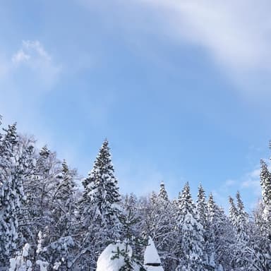 雪深い冬を、愉しみながら暮らしたい