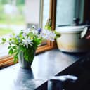 里山BOTANICALプロフィール画像