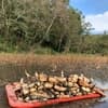 サムネイル 7