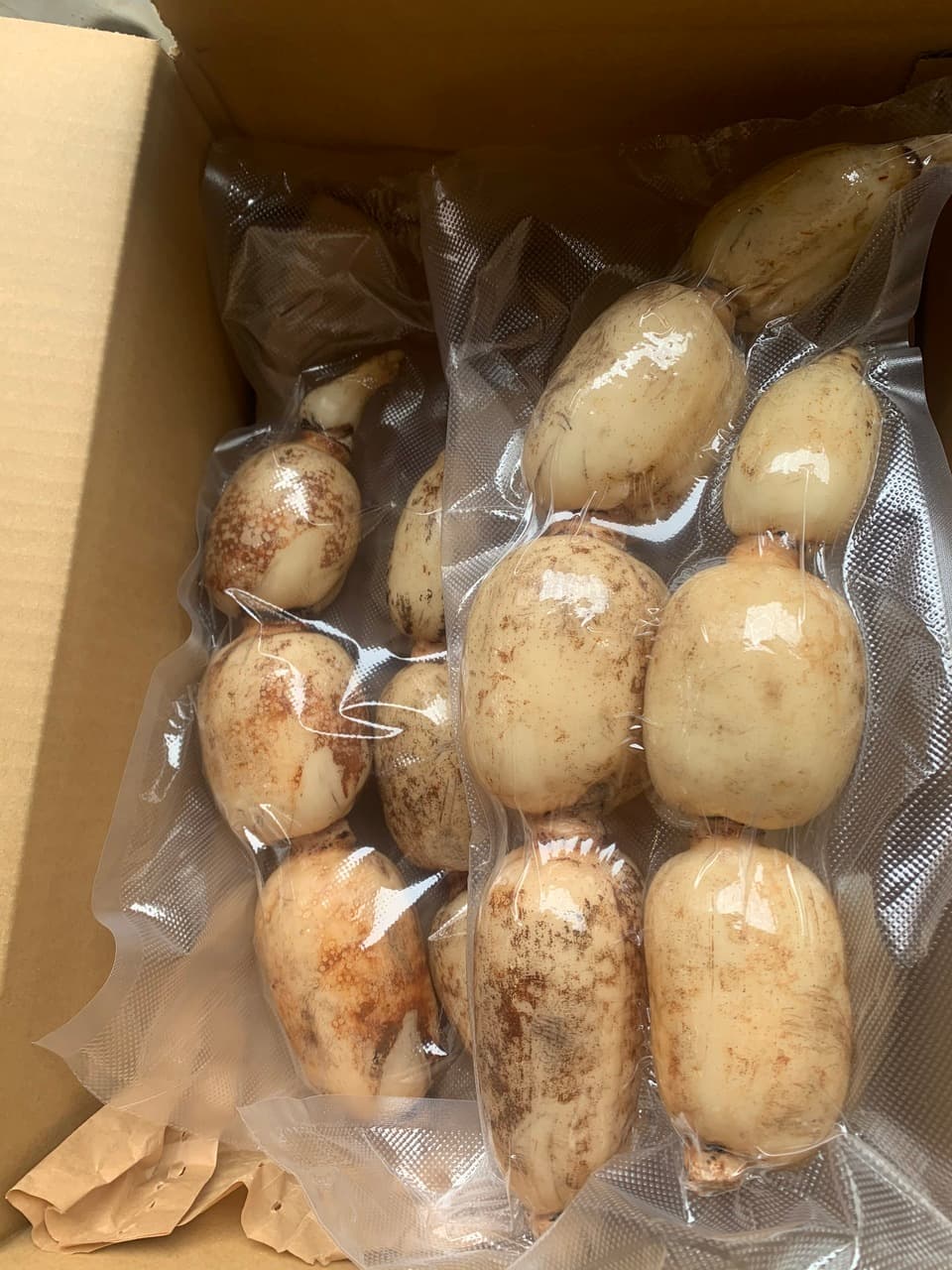 無農薬・無施肥の自然栽培のれんこん　常温発送