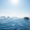 せのお水産の想い
