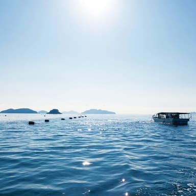 せのお水産の想い