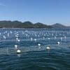 海と海苔について