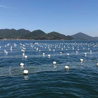 海と海苔について