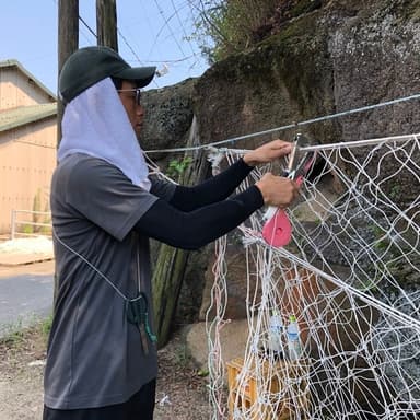 海苔ができるまで〜せのお水産の1年
