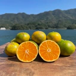 熊本みかん　箱込み4kg