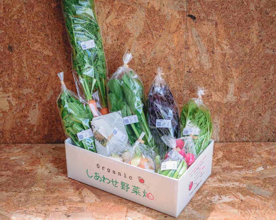 旨みと甘みの強い露地栽培＜旬の有機野菜セット＞農薬化学肥料不使用・静岡県産