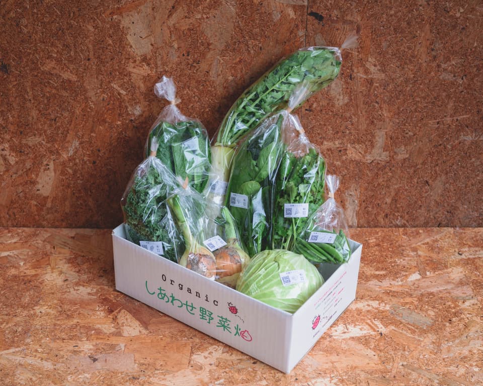 旨みと甘みの強い露地栽培＜旬の有機野菜セット＞農薬化学肥料不使用・静岡県産