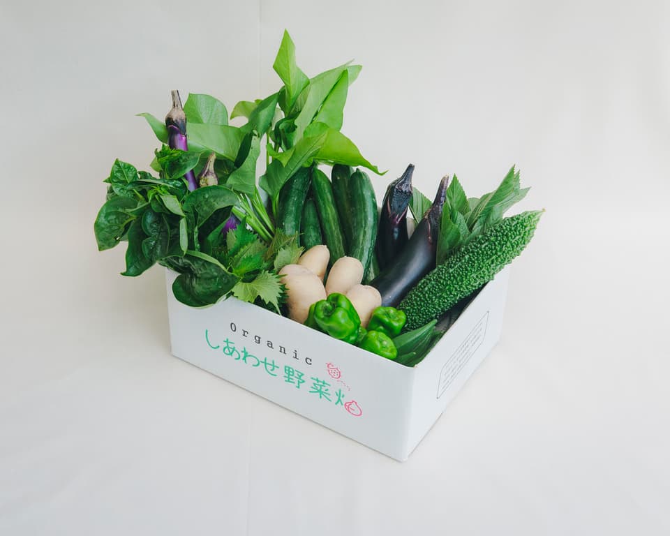 旨みと甘みの強い露地栽培＜旬の有機野菜セット＞農薬化学肥料不使用・静岡県産