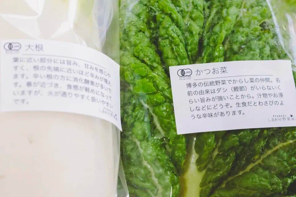 旨みと甘みの強い露地栽培＜旬の有機野菜セット＞農薬化学肥料不使用・静岡県産