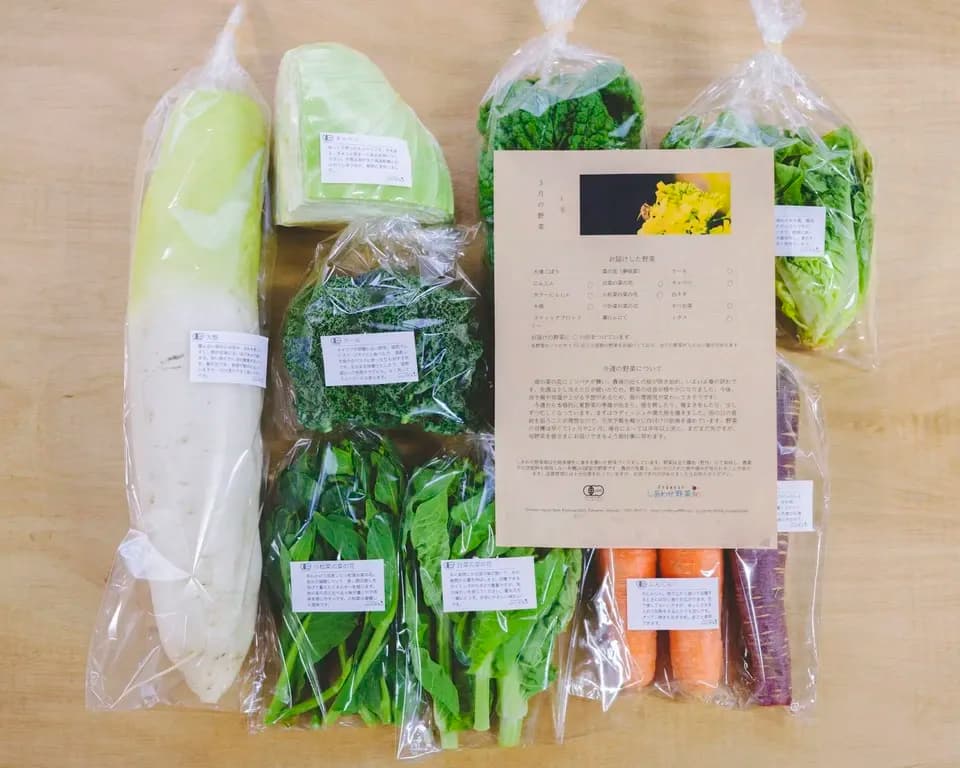 旨みと甘みの強い露地栽培＜旬の有機野菜セット＞農薬化学肥料不使用・静岡県産