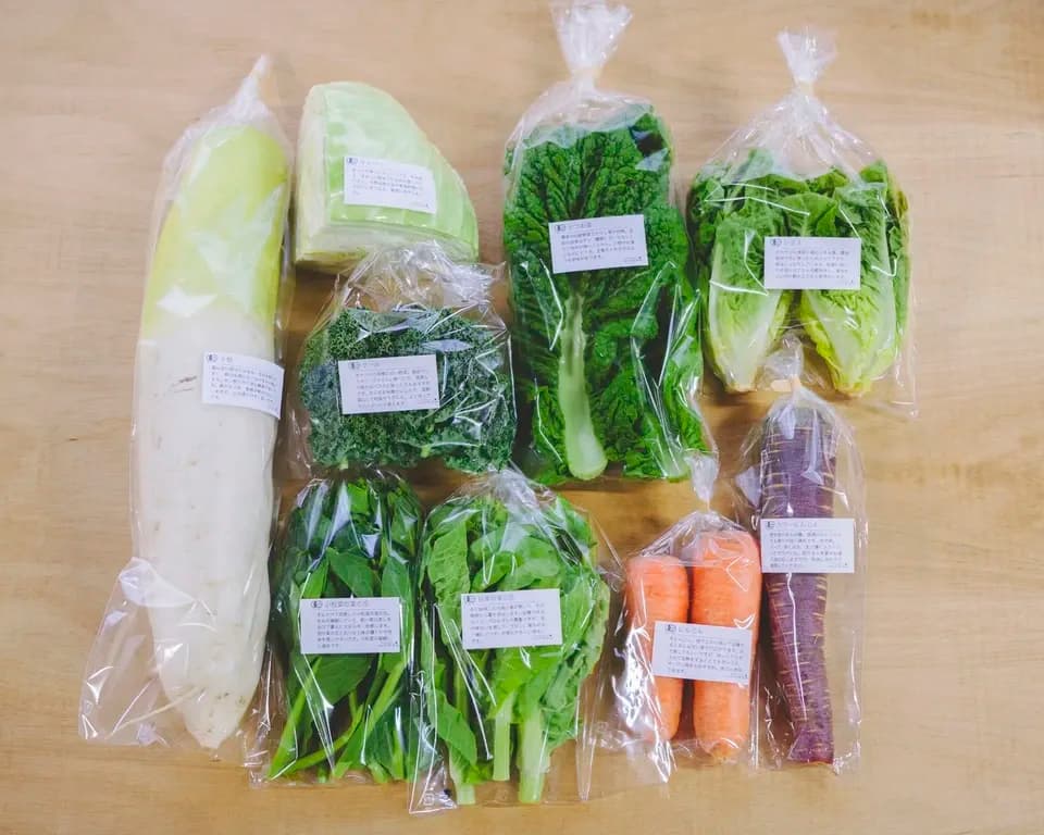 旨みと甘みの強い露地栽培＜旬の有機野菜セット＞農薬化学肥料不使用・静岡県産