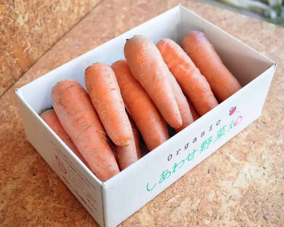 ＜旬のにんじん 4.5kg＞農薬化学肥料不使用・静岡県産 