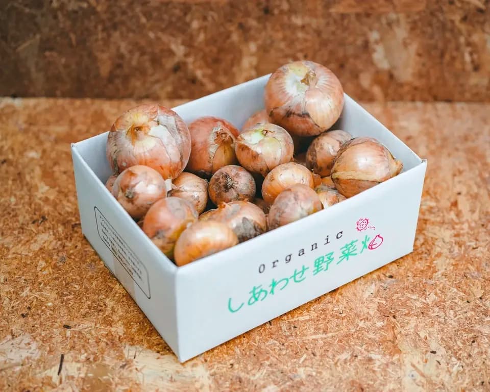 ＜有機たまねぎ 3kg＞農薬化学肥料不使用・静岡県産 