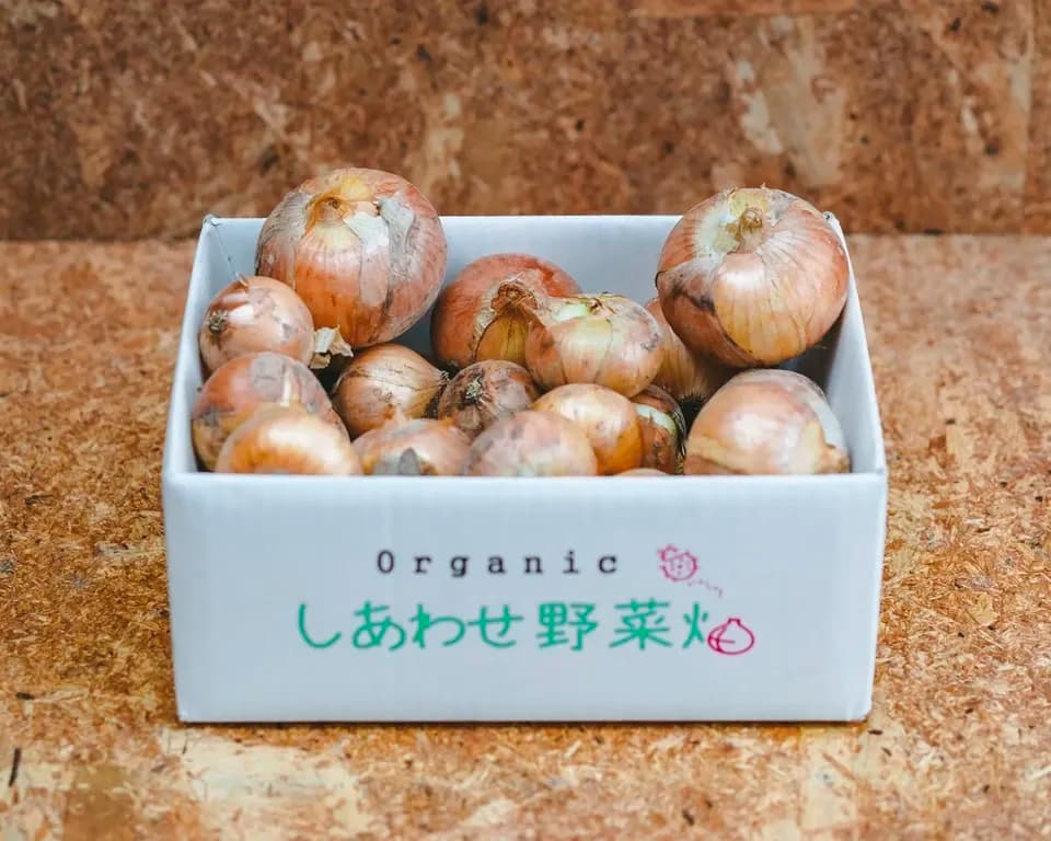 ＜有機たまねぎ 3kg＞農薬化学肥料不使用・静岡県産 