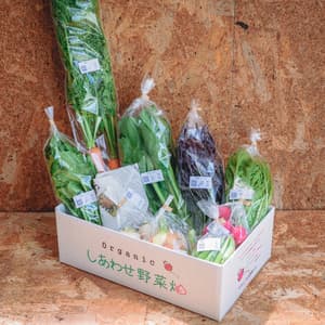 旨みと甘みの強い露地栽培＜旬の有機野菜セット＞農薬化学肥料不使用・静岡県産の口コミ・レビュー(48ワンさん)