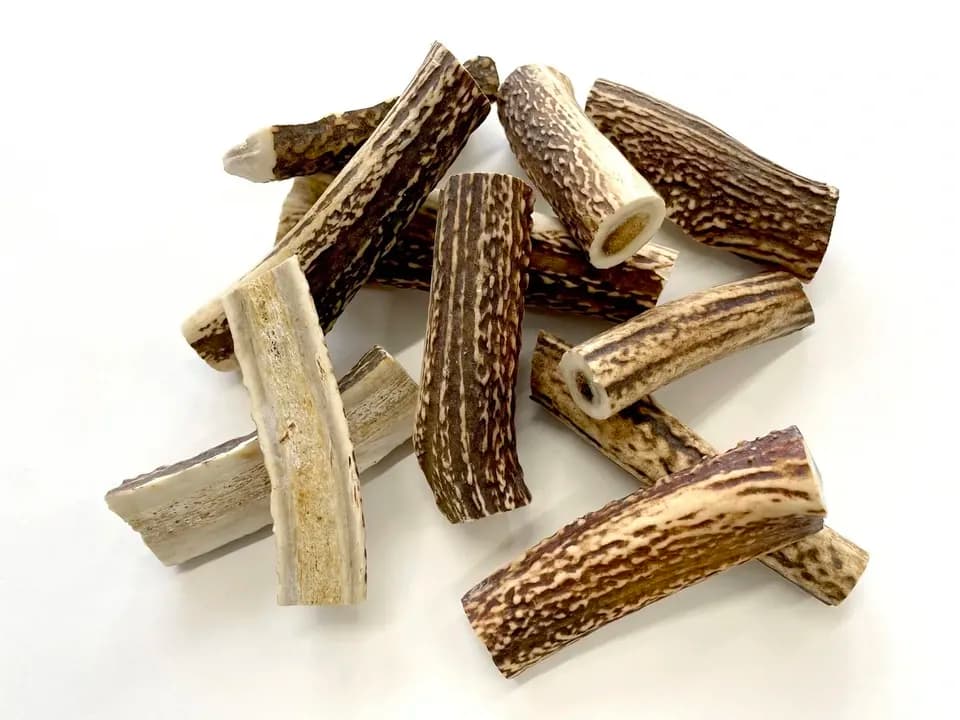 PET用ストレス解消ペットフード［本州鹿の角］Honshu Deer Antlers 