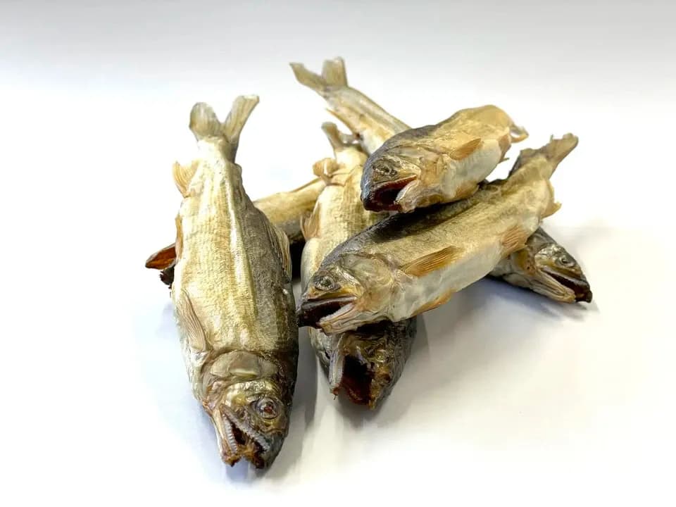 PET用ヒューマングレードペットフード［鮎の燻製］Smoked Sweetfish 