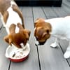 サムネイル 5