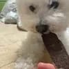 サムネイル 7