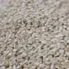 サムネイル 2