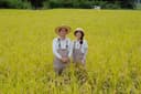 白川自然農園ロゴ画像
