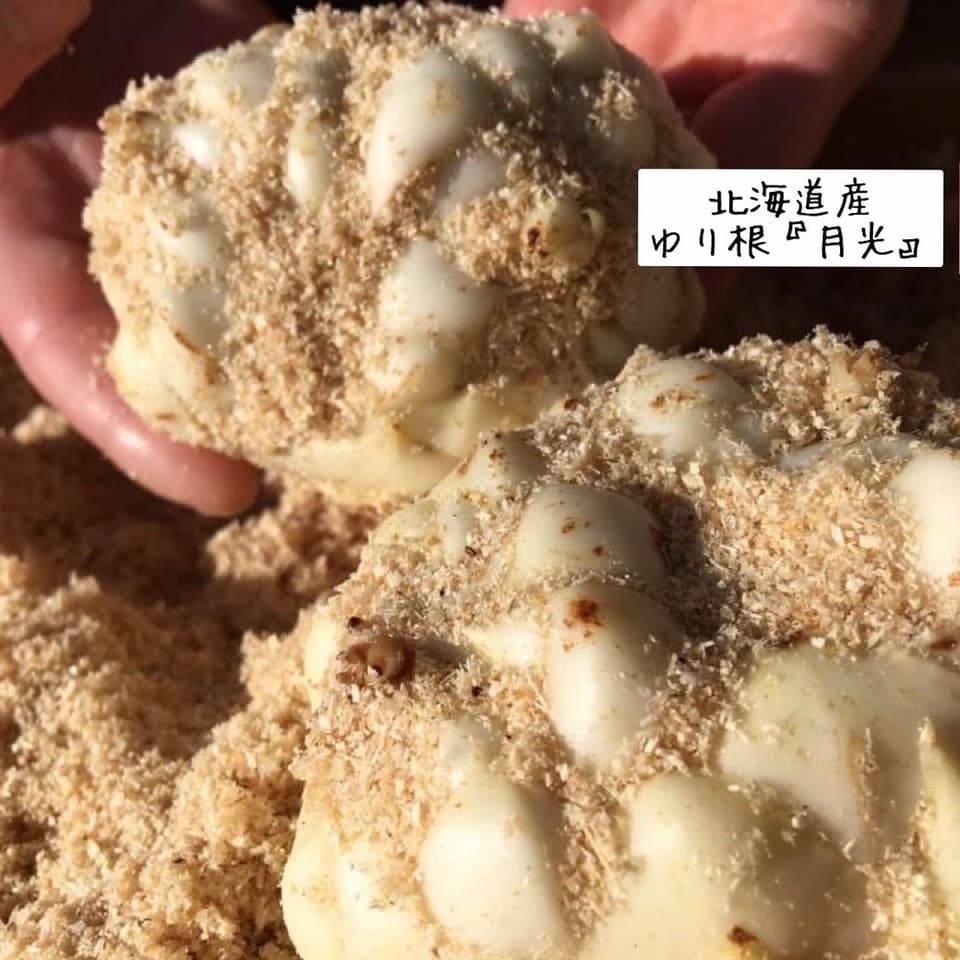 『白ほたる豆腐 手作り揚げ物』グルテンフリー ✴︎各単品有り 