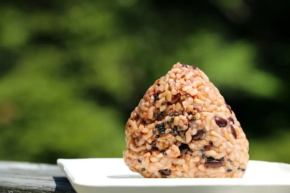 『長岡式酵素玄米おにぎり』白ほたる豆腐店 【冷凍/ご自宅用】
