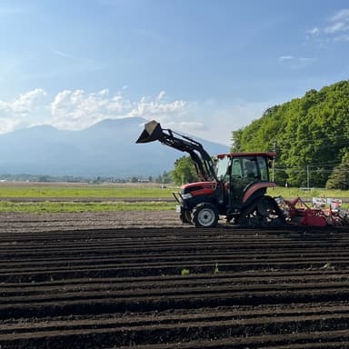連日の大豆播種🚜