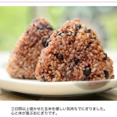 酵素玄米玄米おにぎり