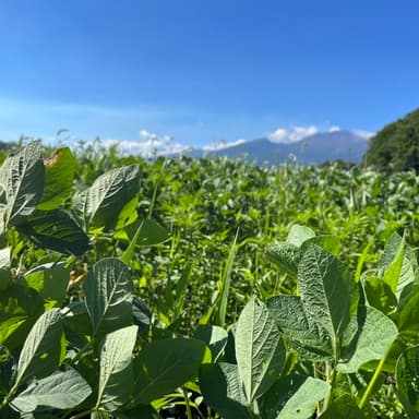 1日1日が早く…冬の声が❄️