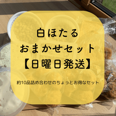 おまかせセットできました😃
