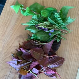 夏ギフトにお豆腐セットおすすめです！☀️
