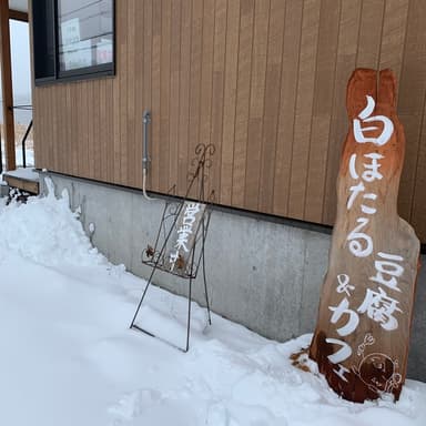 春の兆し🌱❄️🌸