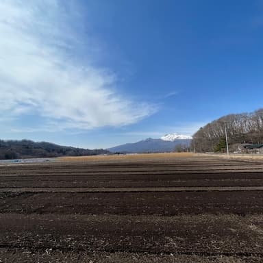 畑シーズンが始まりました🚜