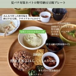 今年も野草パウンド始まりました