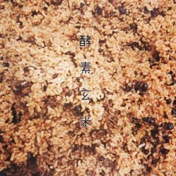 長岡式酵素玄米講習会