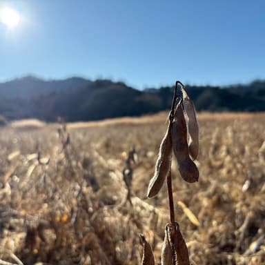 冬の軽井沢