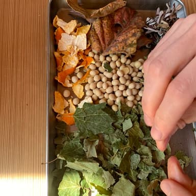 野草と大豆カイロ作り