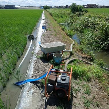 水不足で水田に使う川の水が