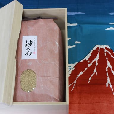 自然栽培米【農薬不使用・肥料不使用米】神のDNAコシヒカリ