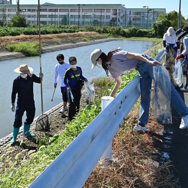 幸せ拾い117清掃ボランティア活動（ごみ拾い）