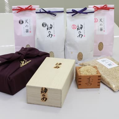 健康へ導く自然米【神の力】30年DNAコシヒカリ