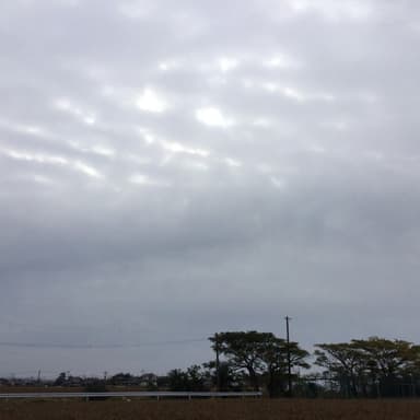 健康と血液