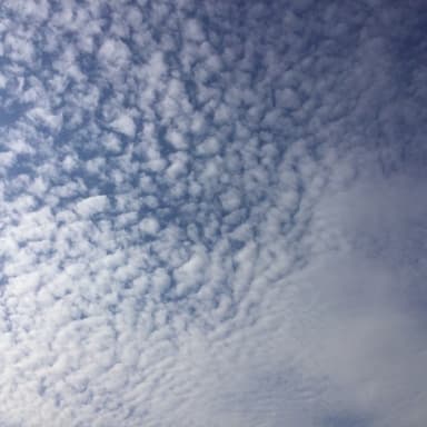 百歳の御婦人に30年DNAコシヒカリのお土産