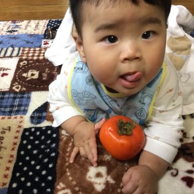 無肥料・無農薬栽培の柿を頂きました