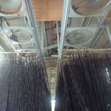 雨降りの冷凍海苔網乾燥は室内で扇風機