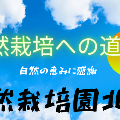 自然栽培（農薬不使用・肥料不使用）への道